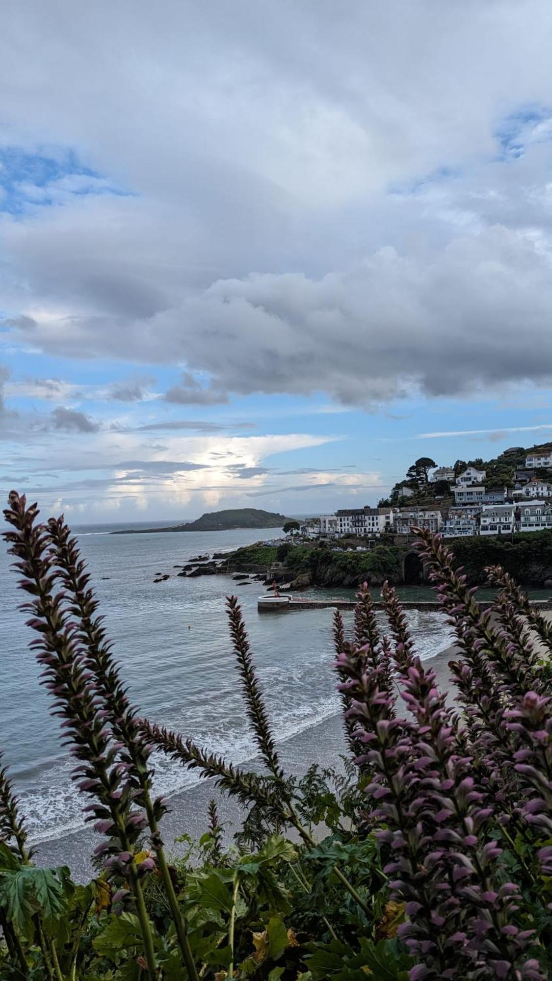 The Hillocks, - Two Bedroom House With Fabulous Views Of Town And Harbour * Looe